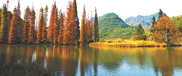 陽山縣杜步鎮東山村：秋葉