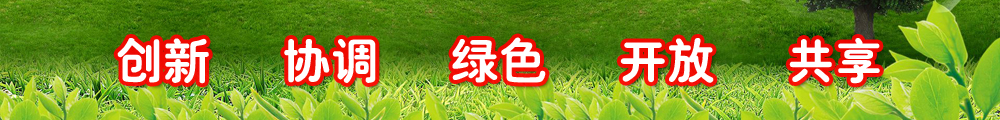 創新 協調 綠色 開放 共享