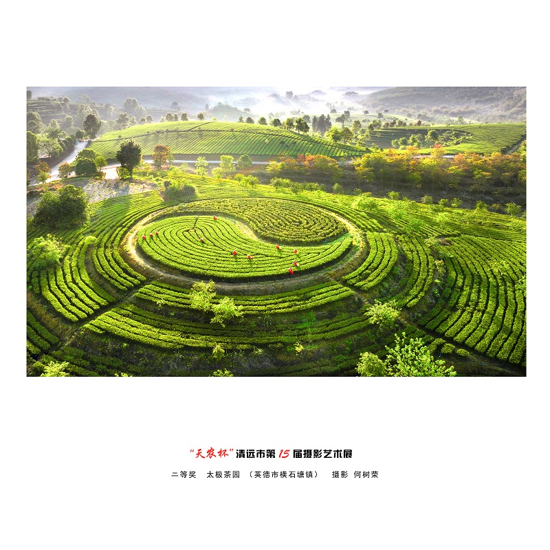 二等獎  太極茶園（英德市橫石塘鎮）  攝影  何樹榮.jpg