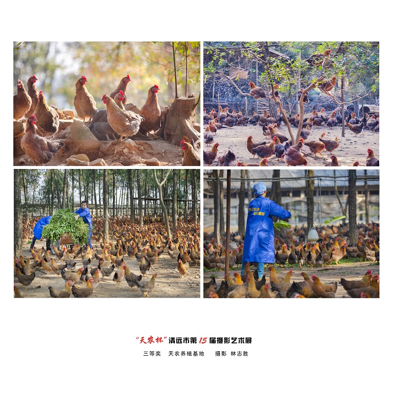 三等獎  天農養殖基地   攝影 林志勝.jpg