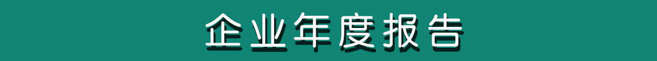 企業年度報告