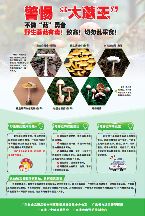 警惕“大蘑王”，不做“菇”勇者.png