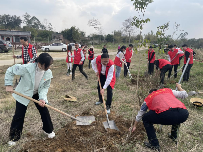 黨建引領添新綠——清遠市醫保局黨員干部積極投身鄉村綠化工作