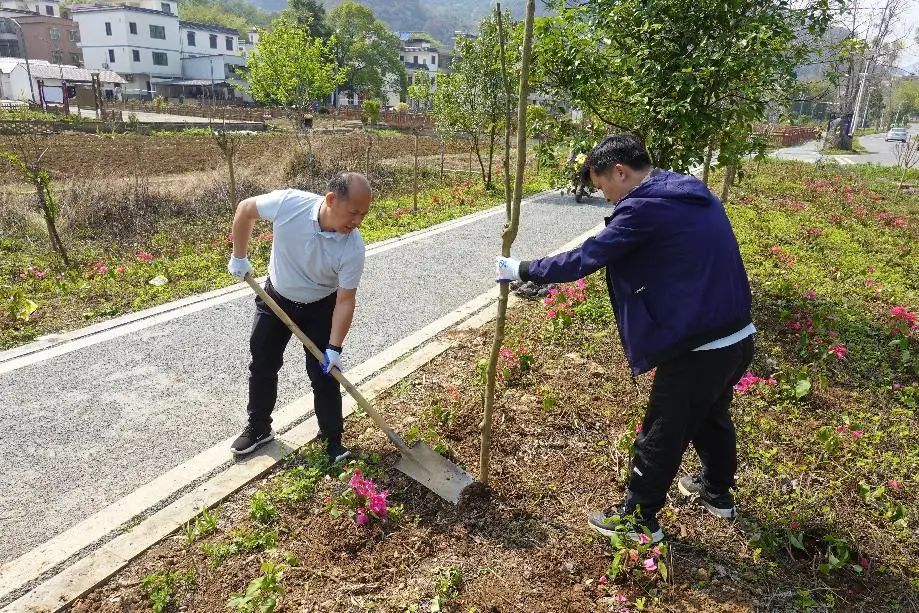 清遠市信訪局赴杜步鎮開展鄉村綠化主題黨日活動